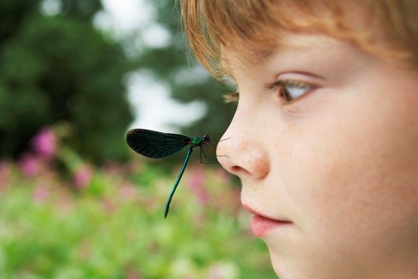 Spring 2016: Learning French in a minority setting